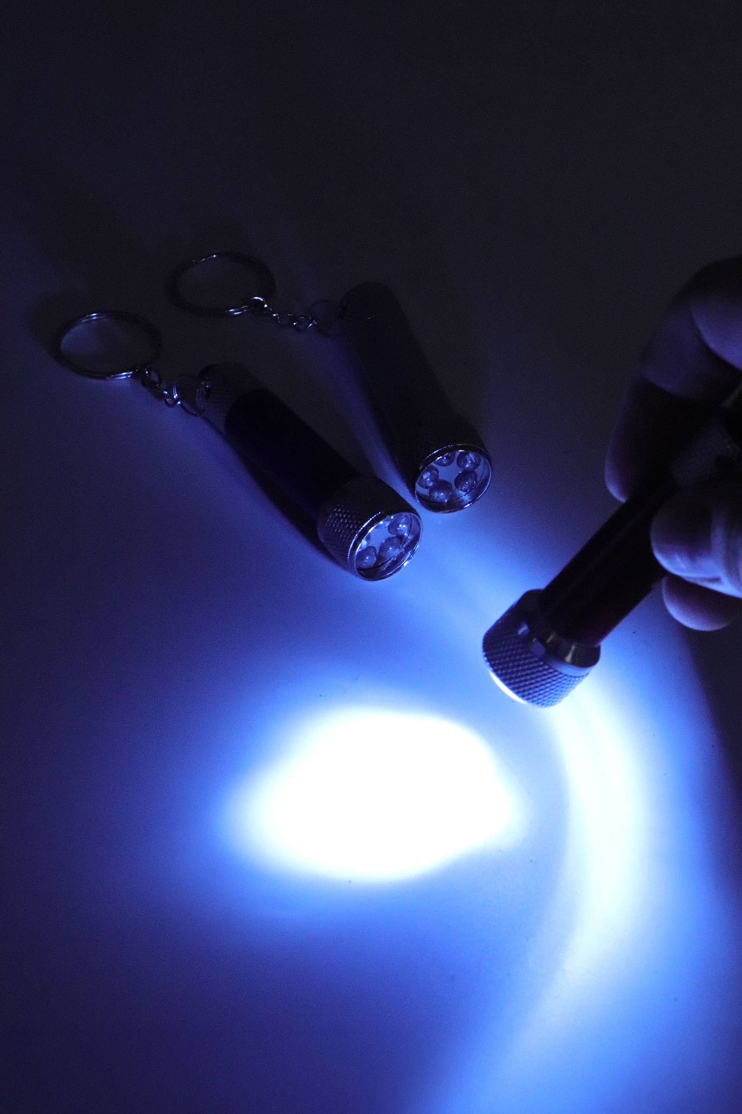 5-bulb High-luminous Led Flashlight - 12 Pcs: ASSORTED / ONE SIZE