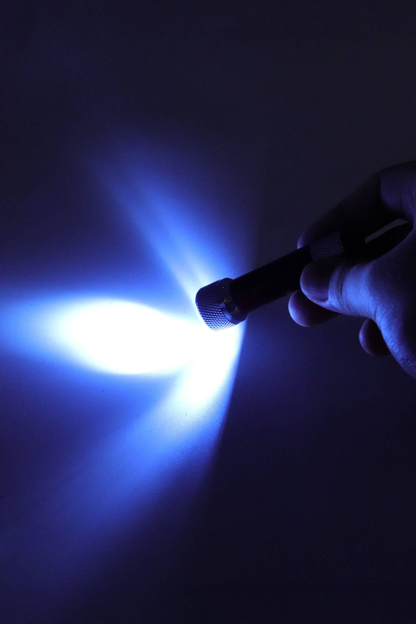 5-bulb High-luminous Led Flashlight - 12 Pcs: ASSORTED / ONE SIZE